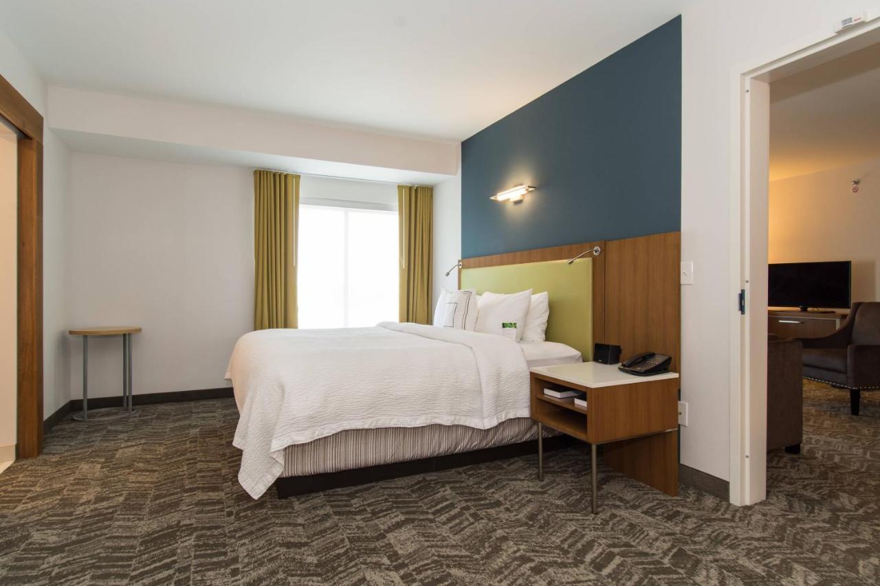 Springhill Suites By Marriott Charlotte Балантайн Екстериор снимка