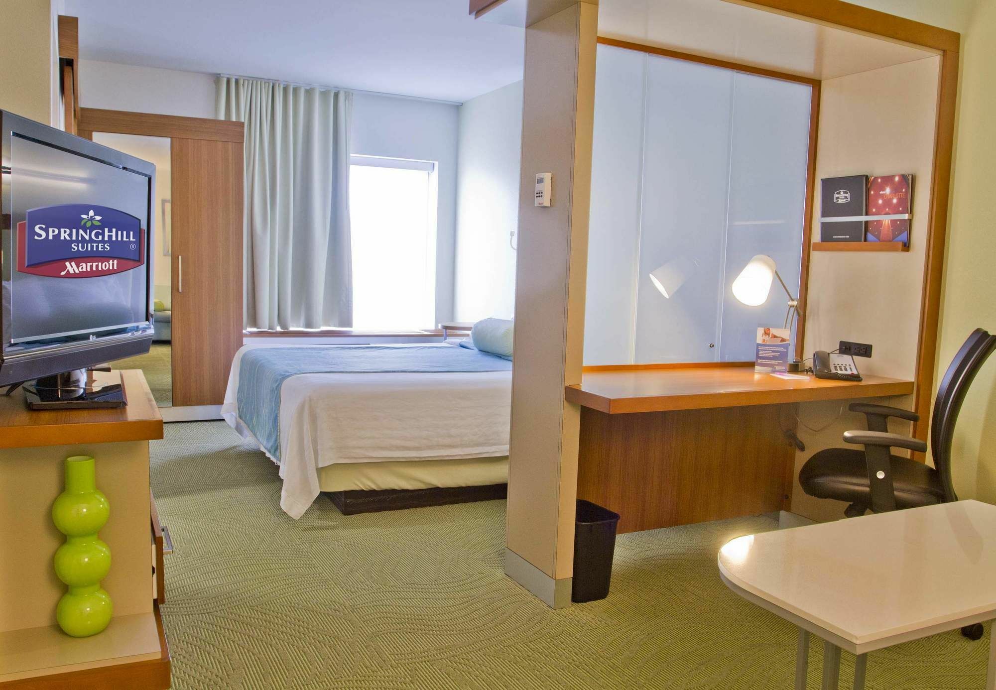 Springhill Suites By Marriott Charlotte Балантайн Екстериор снимка